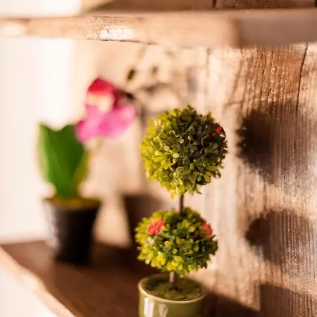 Apartament Haras Traditional House *